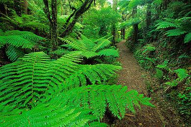 《巴比伦的陨落》不会停止开发 第2和第3赛季已在开发中